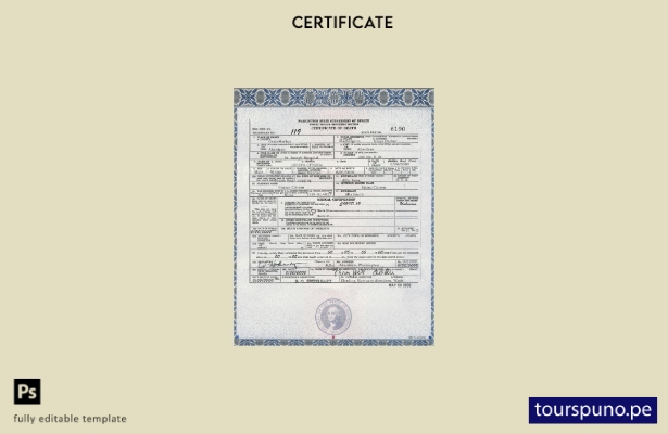 listo para imprimir plantilla de certificado de defunción del estado de Washingt